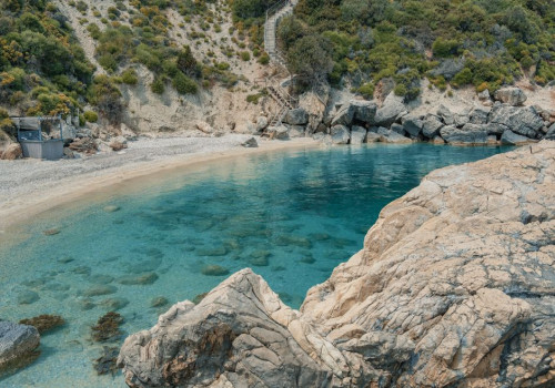 Haaien Zakynthos: welke soorten er leven en hoe veilig zwemmen en snorkelen is