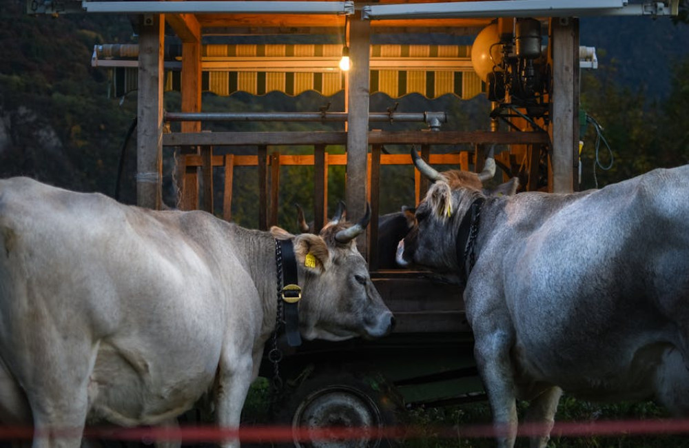 Wat is een agriturismo in Italië en waarom kiezen zoveel reizigers hiervoor?